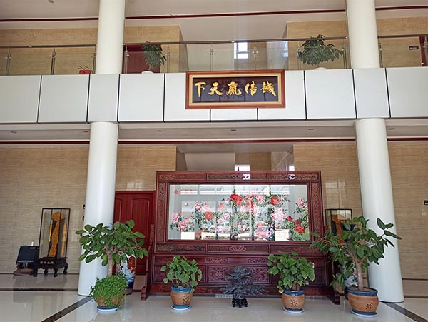 成人午夜大片免费APP